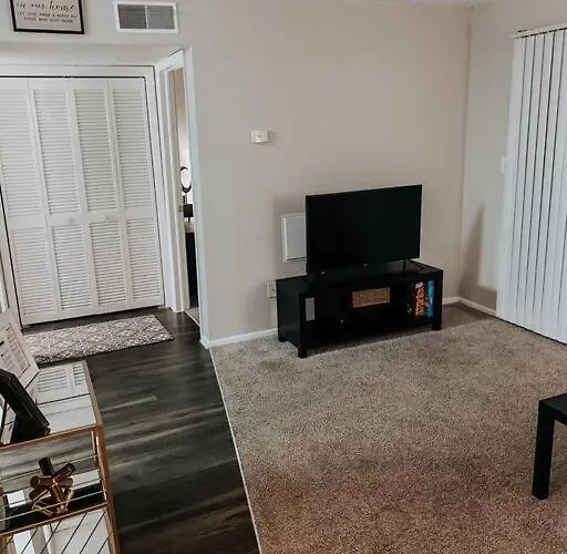Cozy 1Bedroom Apt Near Downtown Tampa