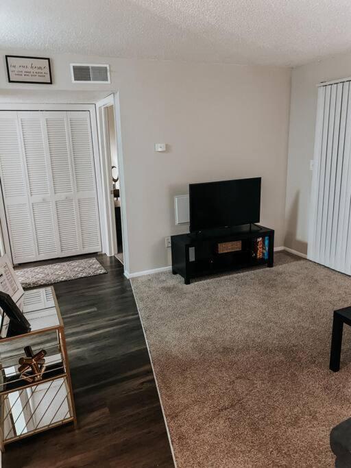 Apartment Cozy 1bedroom Apt Near Downtown Tampa