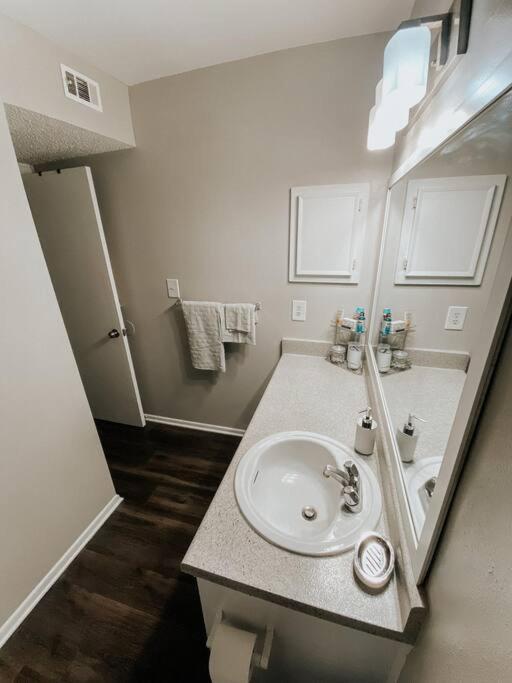 Cozy 1bedroom Apt Near Downtown Tampa